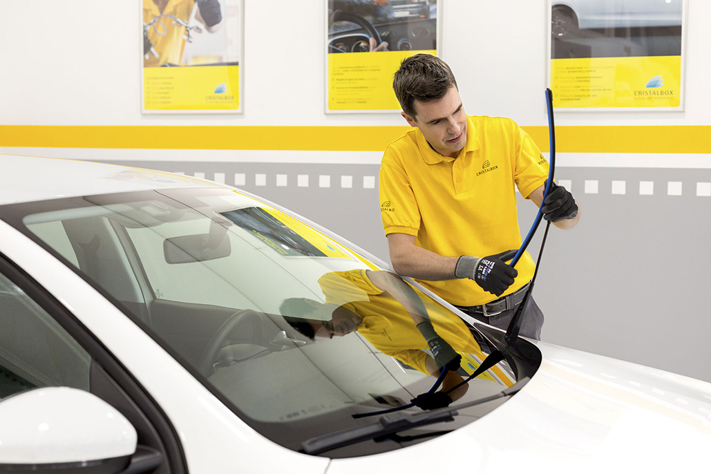 recambio escobillas cristalbox